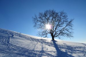 Alpen: Bis inklusive dem Wochenende prachtvolles Wintersportwetter mit viel Sonne!