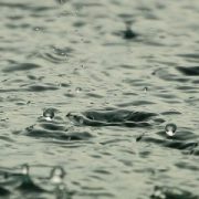 März 2019 mit viel Regen – große Bilanz seit der Dürre 2018