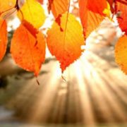 Österreich: Am Nationalfeiertag ruhiges Herbstwetter mit Sonne und Wolken