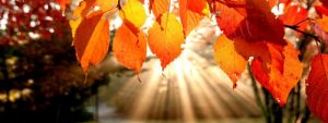 Österreich: Am Nationalfeiertag ruhiges Herbstwetter mit Sonne und Wolken
