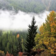 Österreich: Wechselhaftes Westwindwetter mit durchziehenden Tiefdruckgebieten