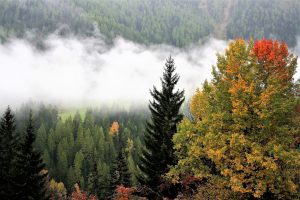 Österreich: Wechselhaftes Westwindwetter mit durchziehenden Tiefdruckgebieten