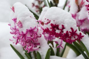 Wintereinbruch mit teils kräftigem Schneefall bis ins Tiefland