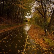 Markante Wetterumstellung in Deutschland – der Herbst kommt mit Macht