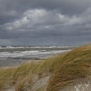 Viel Regen, viel Wind und viel Herbst – Hurrikan IAN bedroht Florida