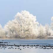 Winterluft erreicht Teile Deutschlands am Wochenende – Frost, Glätte und Schnee möglich