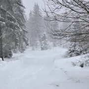 Tiefs mit viel Regen, Wind & Schnee – Schneechaos an den Alpen