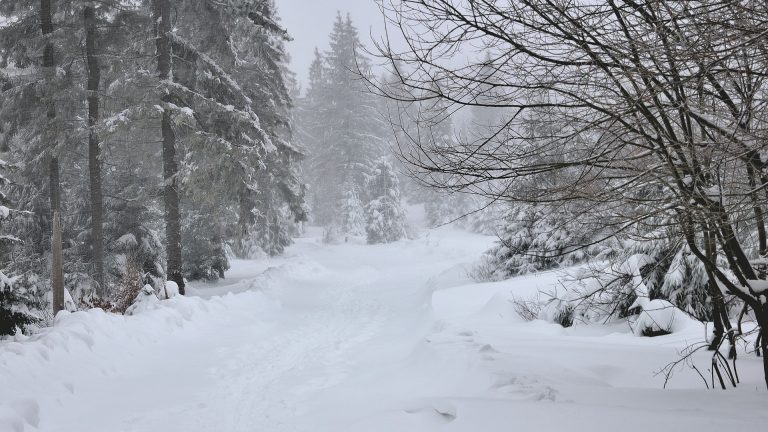 Tiefs mit viel Regen, Wind & Schnee – Schneechaos an den Alpen