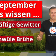 September startet mit schwüler Luft und örtlich kräftigen Gewittern